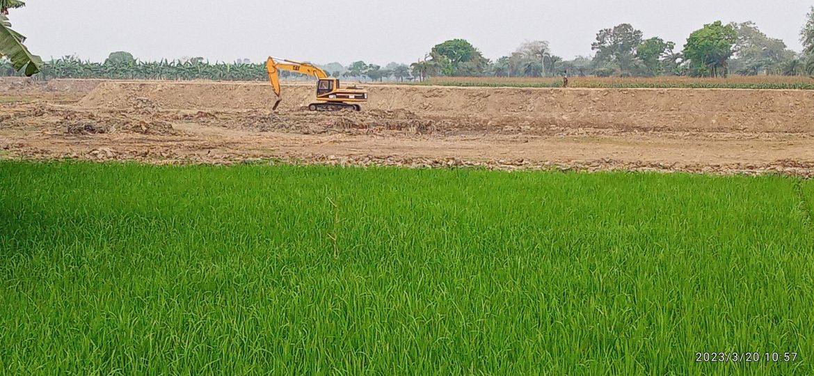 ফসলি জমিতে পুকুর খনন চুয়াডাঙ্গায় উৎপাদনে বিরূপ প্রভাব