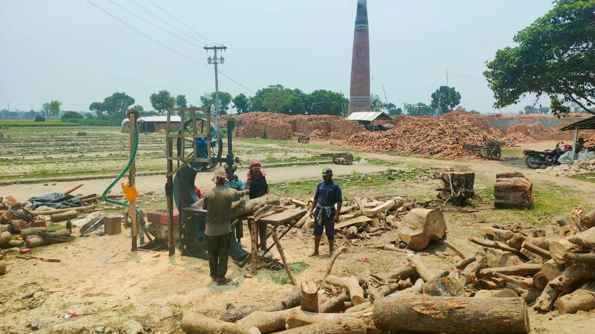 মেহেরপুরে ইটভাটায় ‘স’ মিল; দেখতে পায় না প্রশাসন