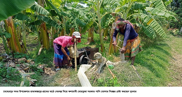 মেহেরপুরে প্রচণ্ড দাবাদাহে চাষাবাদে পানির হাহাকার