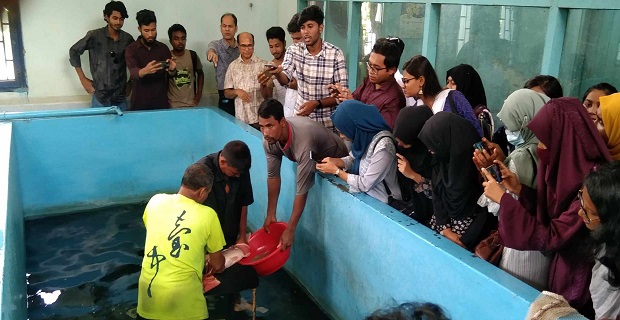 কোটচাঁদপুর কেন্দ্রীয় মৎস্য হ্যাচারী কমপ্লেক্স পরিদর্শনে ৪২ জন শিক্ষার্থী