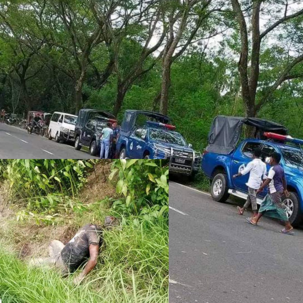 ঝিনাইদহে পাটক্ষেত থেকে গলাকাটা লাশ উদ্ধার