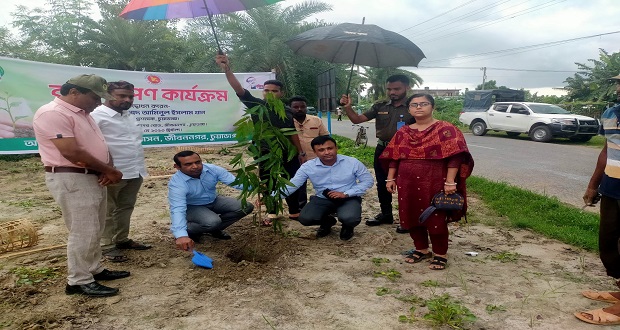 জীবননগরে বৃক্ষ রোপন কমসূচির উদ্বোধন করলেন জেলা প্রশাসক