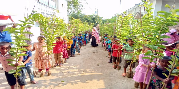 গাংনীর তেঁতুলবাড়ীয়াতে পিএসকেএস এর উদ্যোগে গাছের চারা বিতরণ।