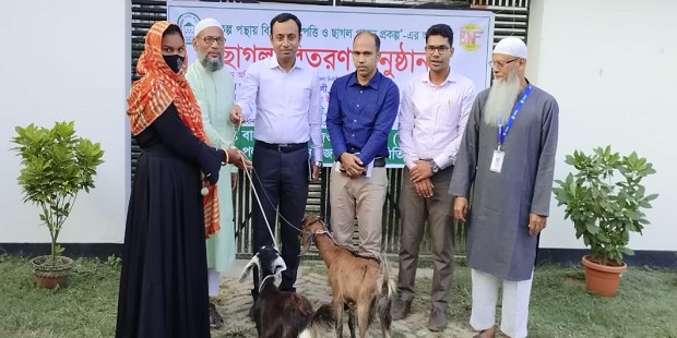 গাংনীতে বাংলাদেশ এনজিও ফাউন্ডেশনের অর্থায়নে বিনামূল্যে ছাগল বিতরণ