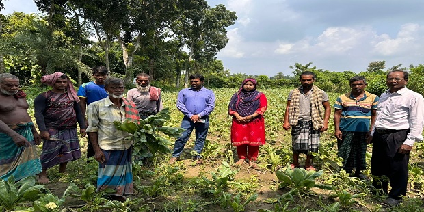 দামুড়হুদায় ফুলকপি চাষে ক্ষতিগ্রস্থ কৃষকের জমি পরিদর্শনে কৃষি অফিসার