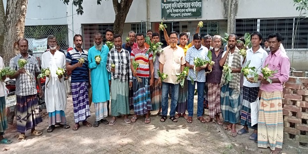 দামুড়হুদার জয়রামপুরে কিরণ মালা কপির বিজ রোপণ করে ক্ষতিগ্রস্ত কৃষকরা