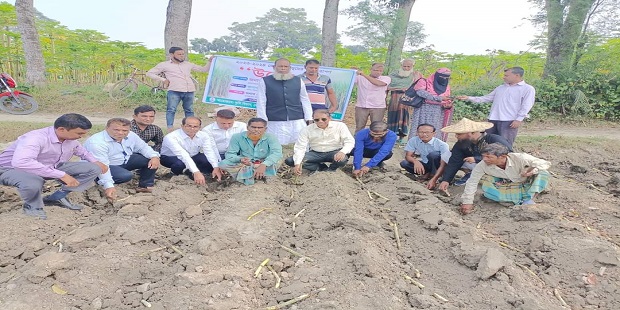 দর্শনা কেরুজ চিনিকল ও কৃষি খামার আখ রোপনের উদ্ধোধন