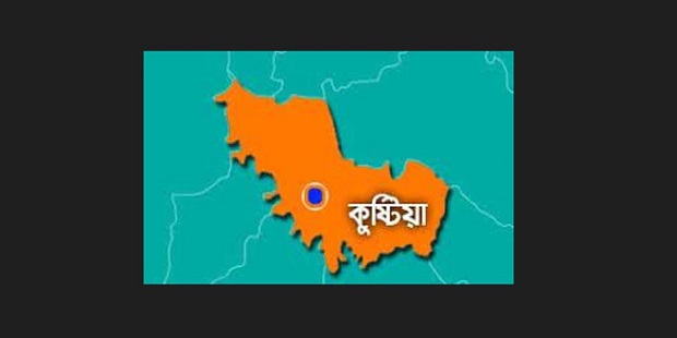 কুষ্টিয়ার ভেড়ামারায় পদ্মা নদীতে গোসলে নেমে স্কুলছাত্রীর মৃত্যু