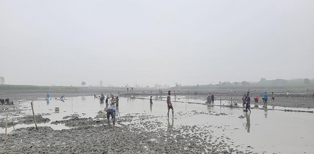 দর্শনার বাড়াদী বিলের লিজের টাকা না দিয়ে জোরপূর্বক মাছ ধরে নিয়েছে আকরাম ও তার দলবল