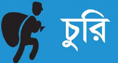 দামুড়হুদা চিৎলায় একরাতে কৃষকের দুই গরু চুরি