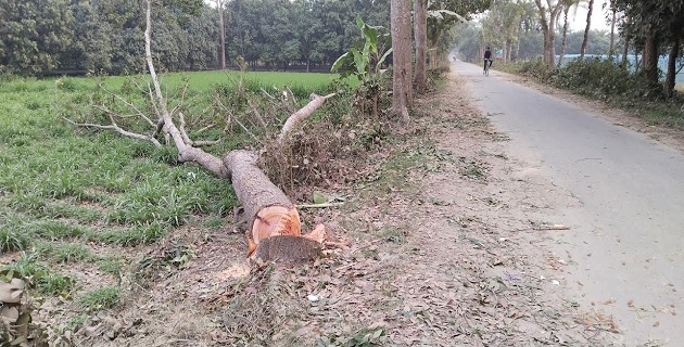 দর্শনা সড়কের ৭৯ টি গাছ কাটার অপরাধে ৮ জনের বিরুদ্ধে মামলা