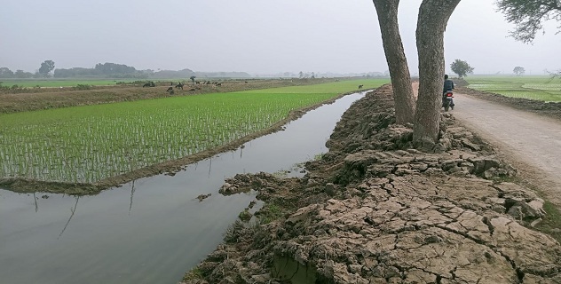 ঝিনাইদহে উইকেয়ার প্রকল্পের রাস্তায় আবাদি জমির মাটি কেঁটে নেওয়ার অভিযোগ