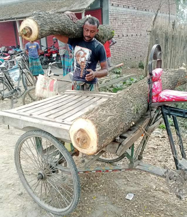 দামুড়হুদায় প্রশাসনকে বুড়ো আঙুল দেখিয়ে দেশের সম্পদ লুটপাট