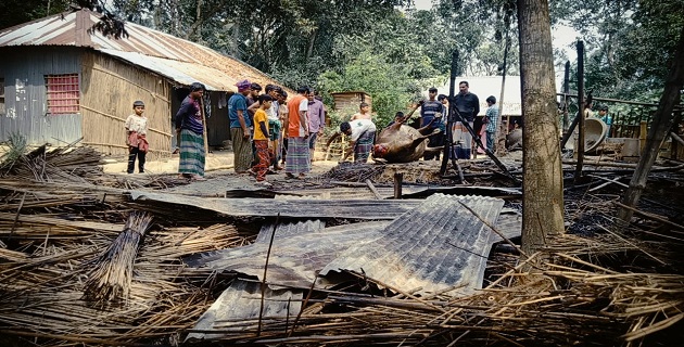 ঝিনাইদহের শৈলকুপায় গোয়াল ঘরে অগ্নিকান্ড, ২টি গরুর মৃত্যু