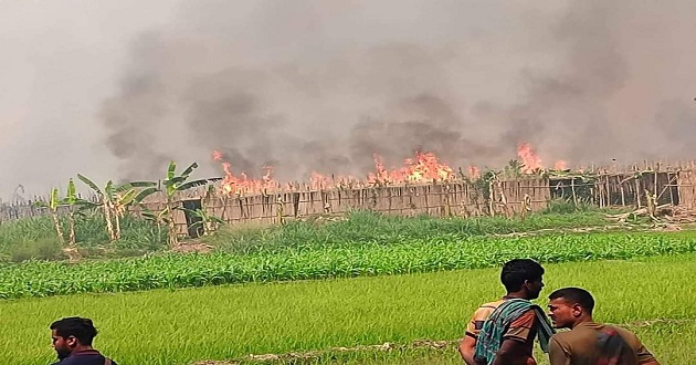  কুষ্টিয়ার ভেড়ামারায় আগুনে পুড়লো শতশত বিঘা পানবরজ