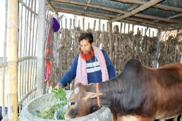 দুগ্ধ ও মাংস উৎপাদনের মাধ্যমে সুবিধাভোগীদের জীবন মান উন্নয়ন