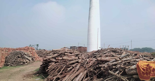 আলমডাঙ্গায় প্রকাশ্যে ইটভাটা পুড়ছে বনজ কাঠ, প্রশাসন নির্বিকার