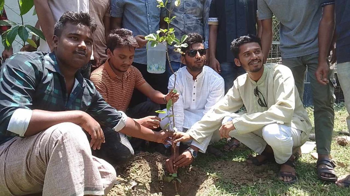 মুজিবনগরে ছাত্রলীগের বৃক্ষরোপণ কর্মসূচির উদ্বোধন