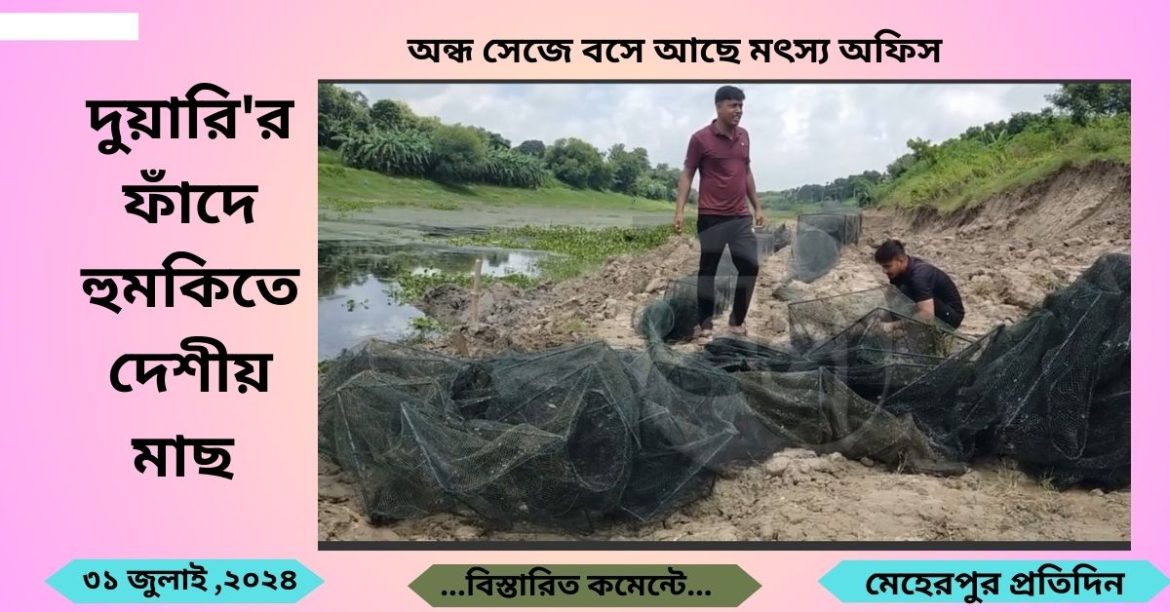 মুজিবনগরে নিষিদ্ধ চায়না দুয়ারির ফাঁদে হুমকিতে দেশীয় মাছ