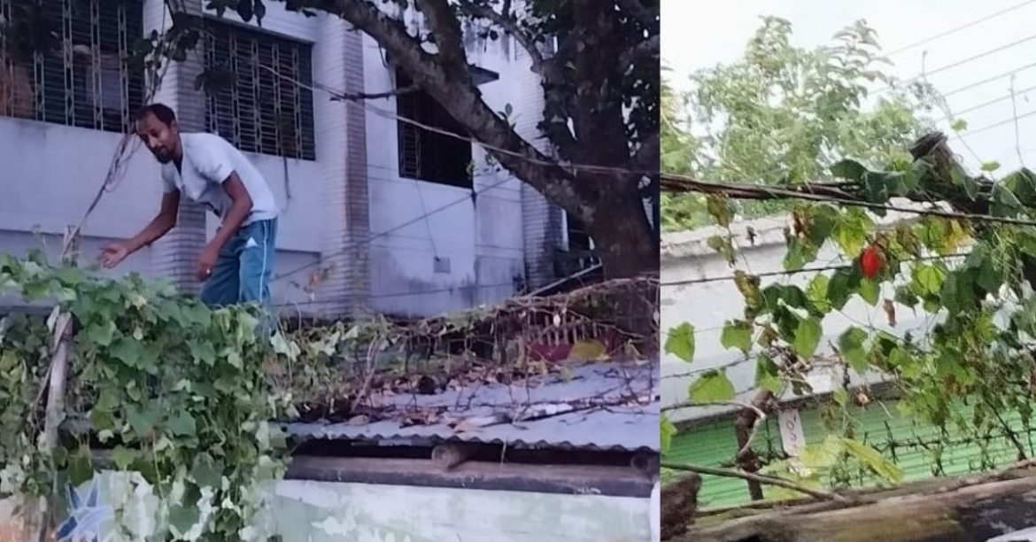 বিদ্যুত বিভাগ মেহেরপুরের গাফিলতিতে বাড়ি বাড়িতে মৃত্যু ফাঁদ