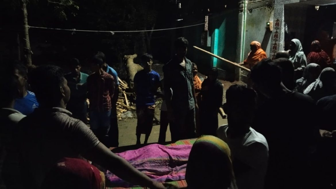 মেহেরপুরের ফতেপুরে মাইক্রোবাসের ধাক্কায় ভ্যানচালকের প্রাণহানি