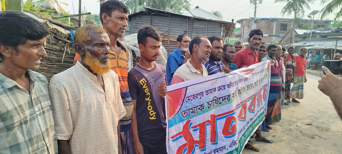 মেহেরপুরে তামাক চাষিদের কার্ড বাতিলের প্রতিবাদে মানববন্ধন