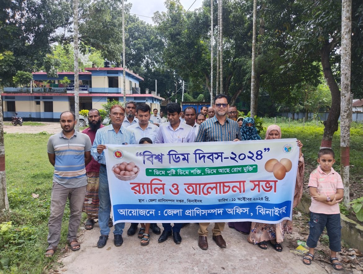 বিশ্ব ডিম দিবস উপলক্ষে ঝিনাইদহে র‌্যালি ও আলোচনা সভা