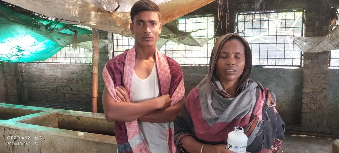 মুজিবনগরে অজানা রোগে মারা গেছে খামারির ৭টি গরু