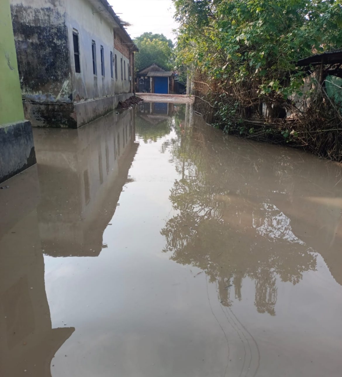 দামুড়হুদায় একটু বৃষ্টি হলেই হাঁটু পানি, নেই পানি নিষ্কাশনের ব্যবস্থা