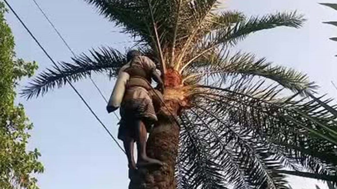 নতুন গুড়ের ঘ্রাণে গাছিরা ভুলে যান তার ঘাম ঝরানো কষ্ট