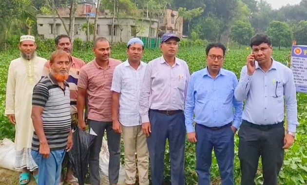 দর্শনায় তুলা চাষী প্রশিক্ষণ ও মতবিনিময় সভা অনুষ্ঠিত