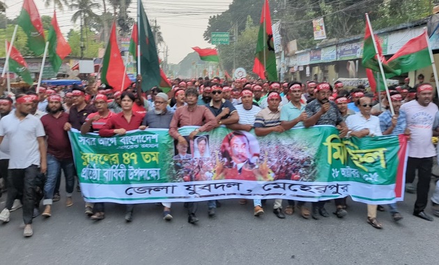 যুবদলের ৪৭তম প্রতিষ্ঠাবার্ষিকী উপলক্ষে মেহেরপুরে মিছিল ও সমাবেশ