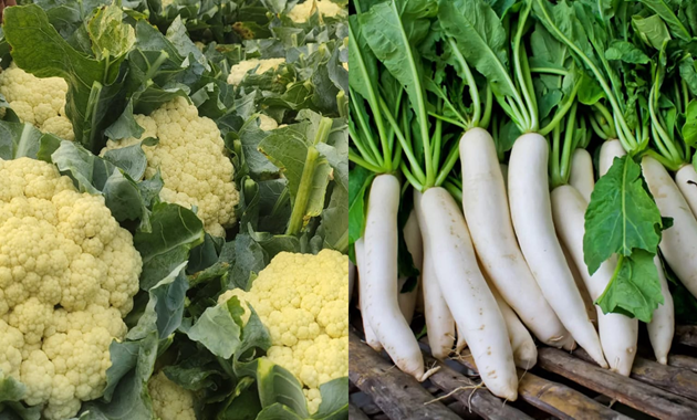 সরবরাহ বাড়ায় দাম অর্ধেকে