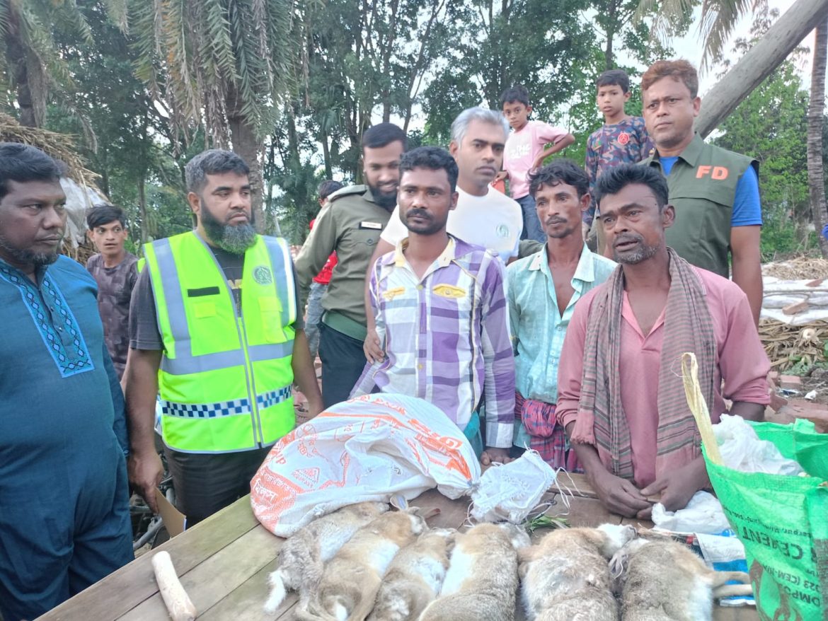 দর্শনায় বন্য খরগোশ শিকার, ৪ জনকে ১০ দিনের কারাদণ্ড