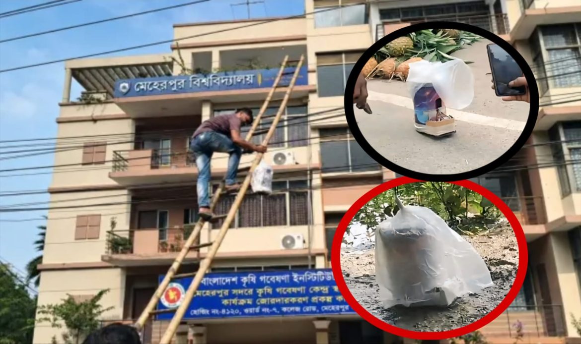 মেহেরপুরে ভোর থেকে বোমা আতঙ্ক, অতঃপর জানা গেল সেটি সান্ড বক্স!